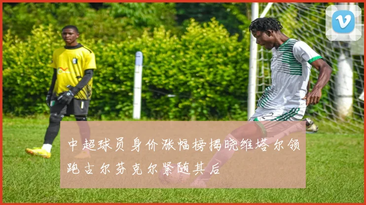 中超球员身价涨幅榜揭晓维塔尔领跑古尔芬克尔紧随其后