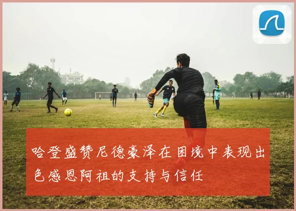 哈登盛赞尼德豪泽在困境中表现出色感恩阿祖的支持与信任