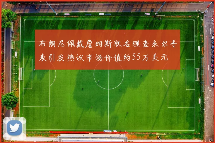 布朗尼佩戴詹姆斯联名理查米尔手表引发热议市场价值约55万美元
