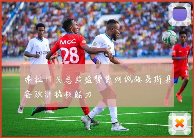 弗拉门戈总监盛赞费利佩路易斯具备欧洲执教能力